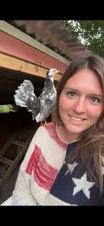 Is the front bird, second from right, a pullet or rooster?