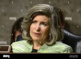 Army mccarthy hi-res stock photography and images