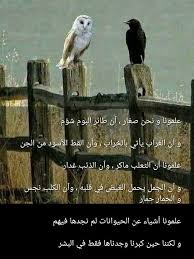 pin by صل على النبي on صباحات ومسائات in 2021 lull