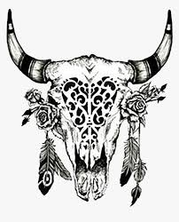Download Cattle Drawing Cow S Skull Hd Png Download Kindpng