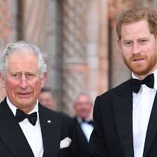 There is not a single thing we cannot do. Prinz Charles Auf Konfrontationskurs Kein Prinzentitel Fur Enkel Archie Boulevard