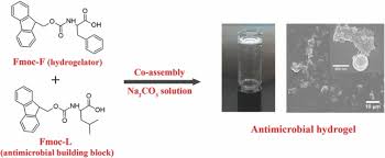 Posts about yeap cheng chuan & co. Gram Positive Antimicrobial Activity Of Amino Acid Based Hydrogels Irwansyah 2015 Advanced Materials Wiley Online Library