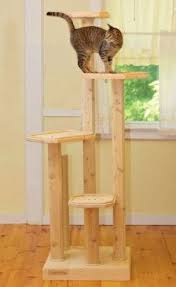 Pin On Cat Tower