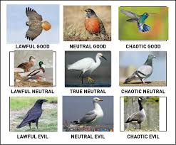 Alignment Chart For Bay Area Birds Bayarea