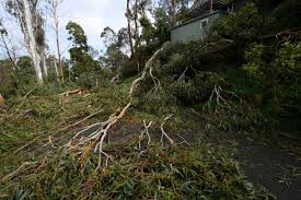 We did not find results for: Melbourne Storm Pictures Show The Aftermath Of Wild Weather That Killed Three 7news