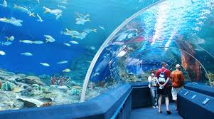 9 Tempat Wisata Atau Atraksi Menarik Di Langkawi