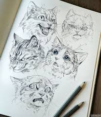 Pin By Ryan Goh On Drawing Animal Drawings Drawings Cat Art