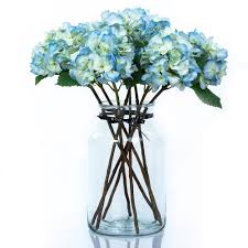 In order to change flowers from blue to pink, you need to remove the aluminum from the. Verena Blue Hydrangea Finest Quality Artificial Flowers And Eternal Roses Silksmiths Of London