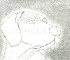 Because the social instincts that dogs have are the same as humans. How To Draw A Dog Head Dog Head Coloring Page Trace Drawing