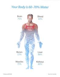 Body water is the amount of water content found in your body. Fitness Pro Water Is Vital For Good Health Symptoms You Are Not Getting Enough