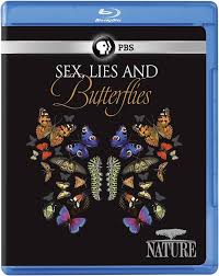 Amazon.com: Nature: Sex, Lies And Butterflies : Ann Johnson Prum, Paul  Giamatti: Movies & TV