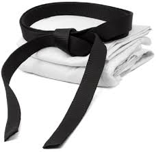 Maybe you would like to learn more about one of these? Karate Ranks Titles Karate Terminology Black Belt Wiki