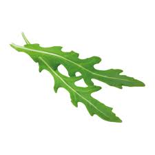 Veggipedia - Rucola