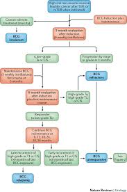 Electrical maintenance or pat testing applies to all premises including . Bcg Unresponsive Non Muscle Invasive Bladder Cancer Recommendations From The Ibcg Nature Reviews Urology