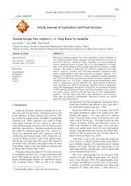 Pdf Ancient Grape Vitis Vinifera L Cv Eksi Kara In Anatolia