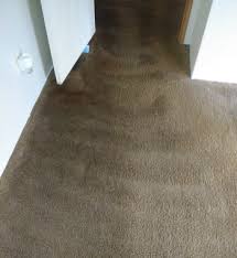We did not find results for: Carpet Cleaning In Ocala And The Villages Florida Chris Carpet Care