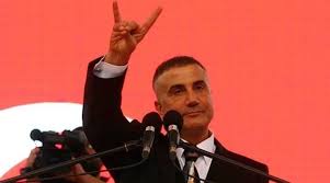 Rizeli bir aileden gelen sakarya doğumlu olup uzun süre almanya'da yaşayan peker, turancı olduğunu dile getirmektedir.1990 yılında t. Sedat Peker In De Aralarinda Oldugu 63 Kisi Hakkinda Gozalti Karari Verildi Peker Yurtdisinda 49 Kisi Gozaltinda Medyascope