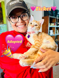 Lost dog found at concert adopted