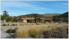 Check spelling or type a new query. 32 Los Gatos Neighborhoods Ideas Los Gatos Gatos The Neighbourhood