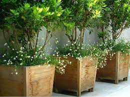 Container Gardening Recipes The Honeycomb Home Large Outdoor Planters Potted Trees Container Garden Design