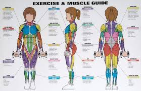 You probably like to stay up late. Pin On Weight Training