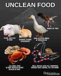 Why I Don T Eat Shellfish Important Drjockers Com Bible Food Do Not Eat Food Facts