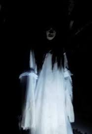 The Door Beyond: True Stories of the Paranormal - The Lady in White