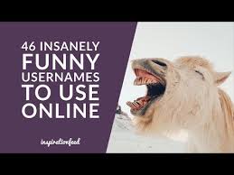 We did not find results for: 120 Insanely Funny Usernames To Use Online Inspirationfeed