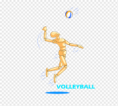 Bola voli ikon di flatastic 10 icon. Kartun Bola Voli Teks Olahraga Logo Png Pngwing