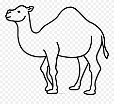 Check out our camel clip art selection for the very best in unique or custom, handmade pieces from our craft supplies & tools shops. Outline Camel Clipart Png Download 5295236 Pinclipart