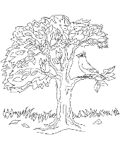 More than 45,000+ images, pictures, and coloring sheets clearly arranged in categories. Coloring Page With Hedgehog And A Tree