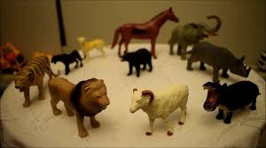 Etcil Ve Otcul Hayvanlar Cocuk Belgeseli Serisi Heyvan Sənədli Animal Kingdom Youtube