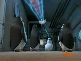 This is a really random selection. Best Madagascar Penguins Gifs Gfycat