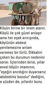Kopek Abdesti Bozar Mi
