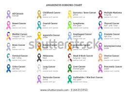 graphique des rubans de sensibilisation image vectorielle stock libre droits 1166315950 coloriage coquille