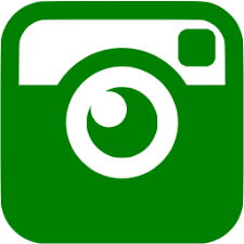 Check spelling or type a new query. Green Instagram 6 Icon Free Green Social Icons