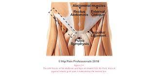 Check spelling or type a new query. Groin Pain Structures And Conditions That Can Contribute To Groin Pain