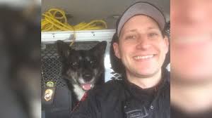 Once known as "Puppy Doe," this K-9 now has a name — thanks to over 2,000  votes by the public