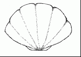 Amazing Clam Shell Outline Templates With Seashell Coloring Pages And Seashell Coloring Pages Seashells Template Templates Printable Free Seashell Clipart