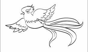 Ver más ideas sobre simbolos patrios guatemala, simbolos patrios, simbolos. Quetzal Bird Of Paradise Coloring Page Free Coloring Library