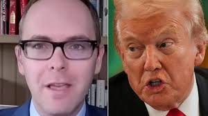 Aussie's five-year legal battle with council over pet dogs: 'Spent over  $100k'