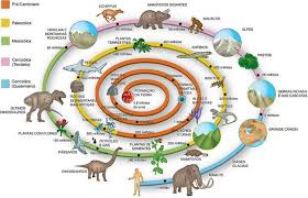 Era Geologica Linea Del Tiempo Origen De La Tierra Historia De La Tierra