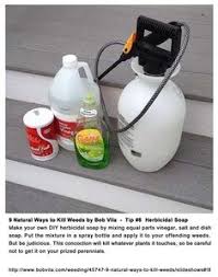 Whether you are taking on a large landscaping project or ridding your lawn of pesky weeds, there are many types of weed killer you can use. Alternative Non Toxic Ways To Deal With Weeds