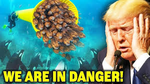 🔸Brahmagupta: The Genius Who Shaped Ancient Science. #Brahmagupta #Ancient  #Astronomy #Geography