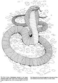 I know i have a good amount of. Welcome To Dover Publications Snake Coloring Pages Snake Coloring Page Coloring Pages