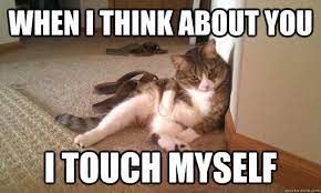 When I Think About You I Touch Myself Lilpuss Quickmeme
