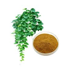 China Ivy leaf extract factory and manufacturers | Ruiwo