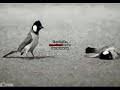 Maybe you would like to learn more about one of these? ØªØ­Ù…ÙŠÙ„ Ø§ØºÙ†ÙŠÙ‡ Ø¹Ø±Ø§Ù‚ÙŠÙ‡ ÙˆÙŠÙ†Ùƒ ÙŠØ§Ø¹Ø¨Ø¯ Ø®Ø§Ù„ÙŠ Ù…ÙƒØ§Ù†Ùƒ Mp3 Mp4