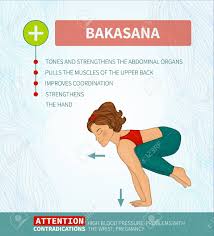 It's for people who are relatively new to yoga and relatively new to the idea of. Yoga Therapy Yoga Infographics Bakasana Hatha Yoga Royalty Free Cliparts Vectors And Stock Illustration Image 40004434