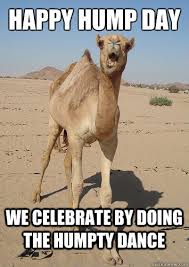 Happy humpday camel day comments wednesday myspace graphics. Hilarious And Funny 20 Best Happy Hump Day Meme 2020